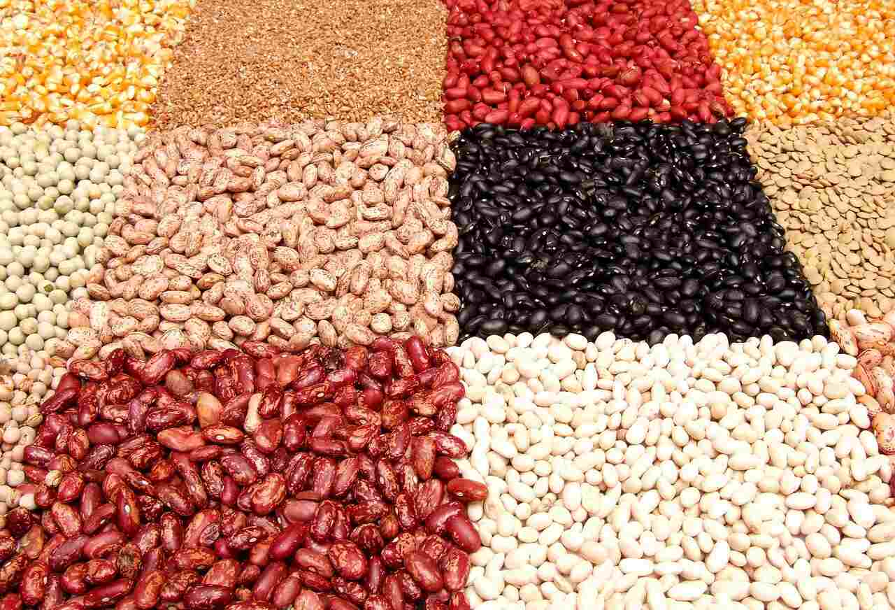 ekmek ve tahıl 