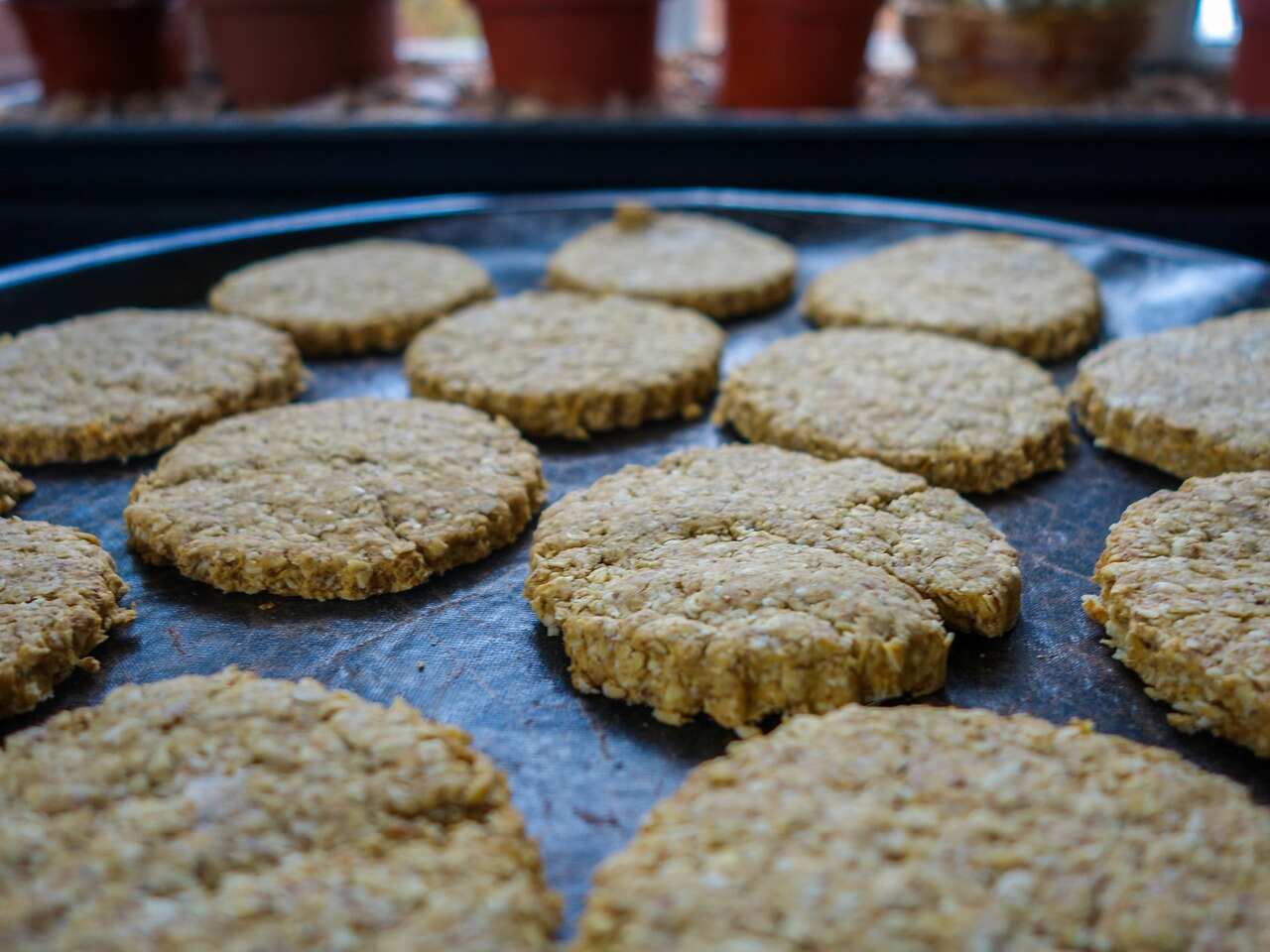 şeker ve vegan yulaflı ezmeli kurabiye