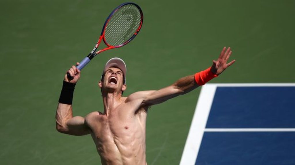 andy murray