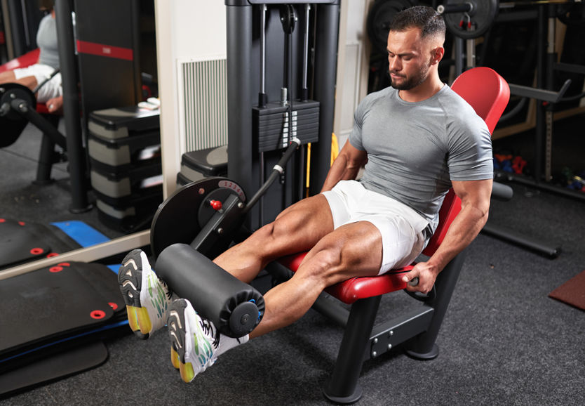 leg extension