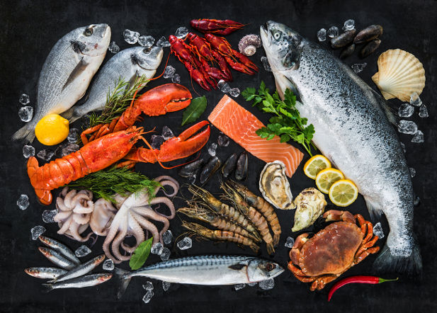 paleo diyeti faydaları