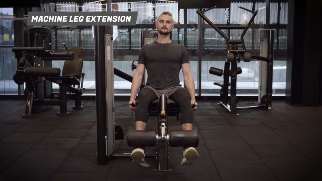 leg extension