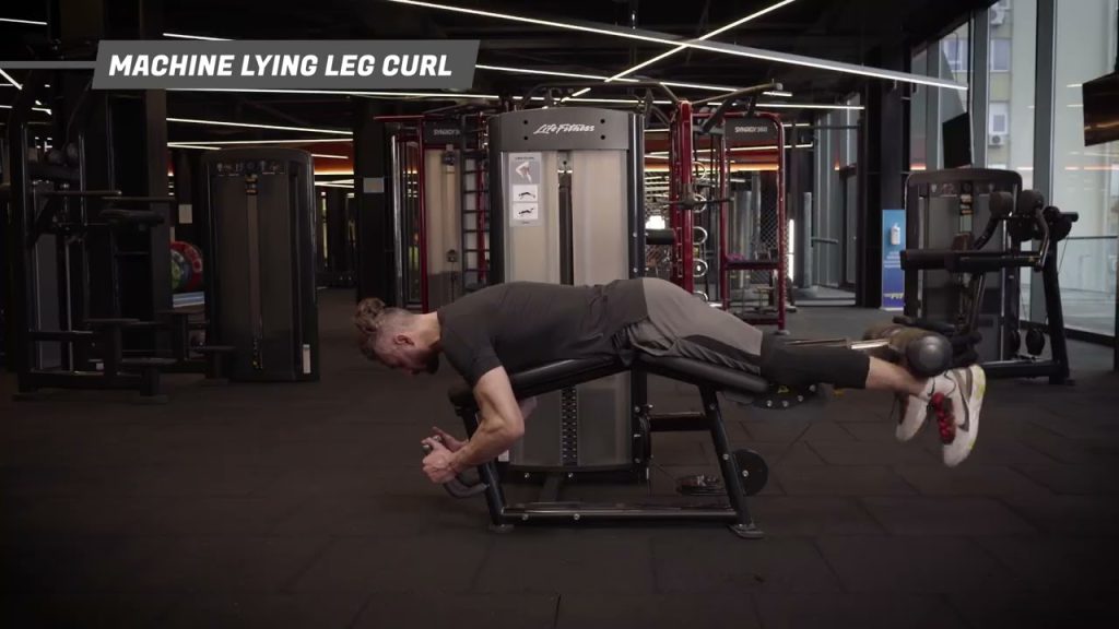 lying leg curl