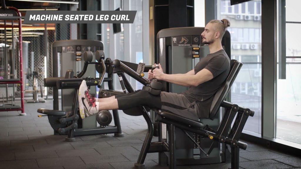 seated leg curl