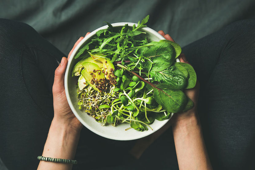 bitkisel protein kaynakları nelerdir?
