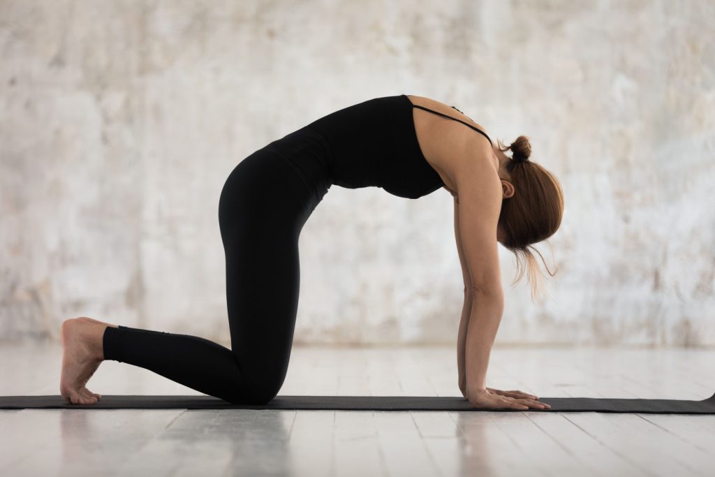 vinyasa yoga kedi inek pozu