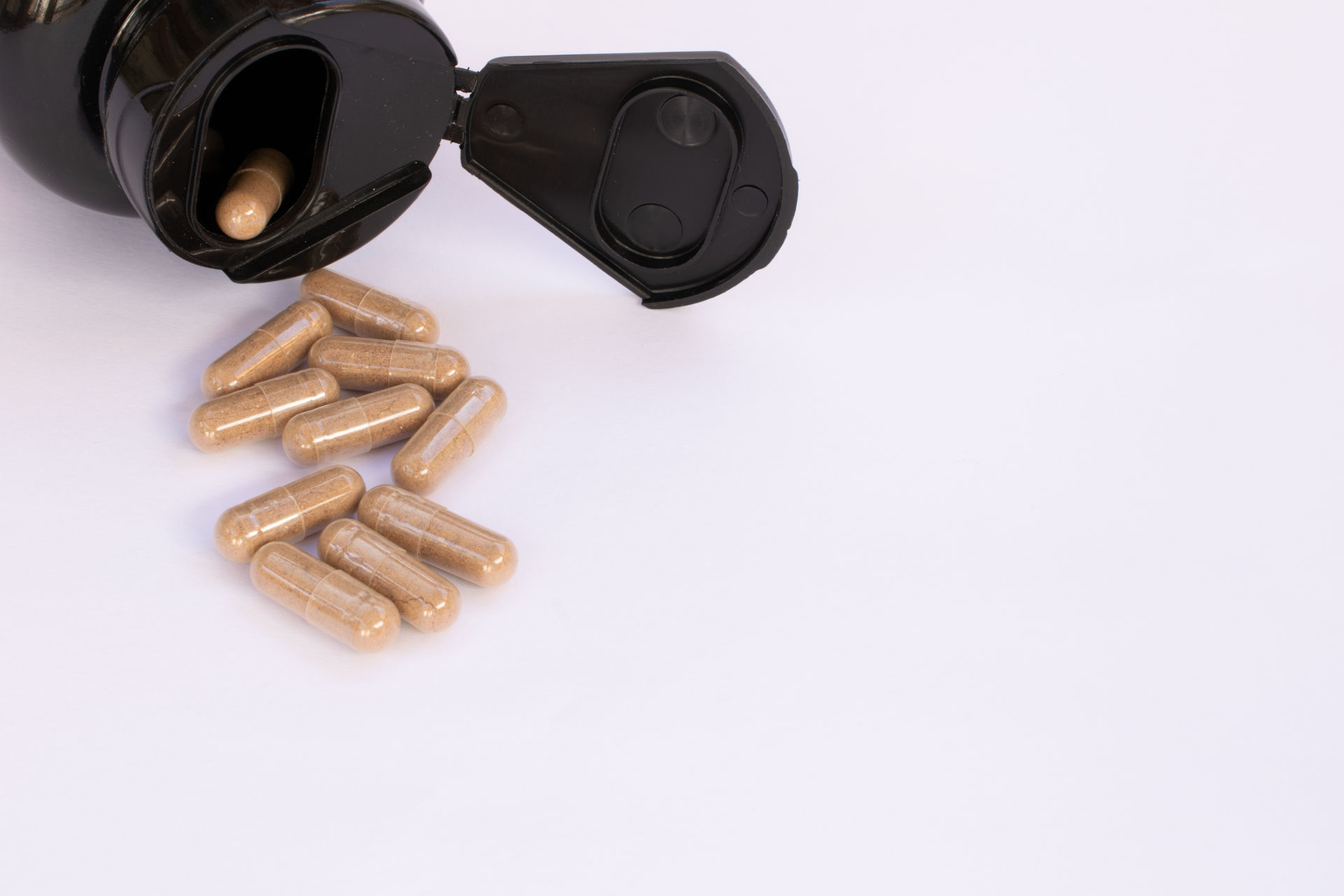 quercetin nedir?