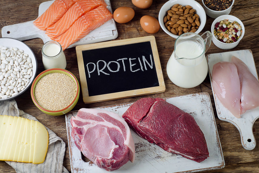 günlük protein ihtiyacı kaynakları