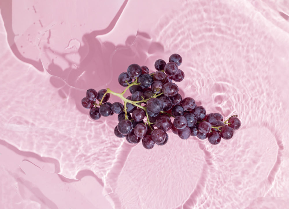 resveratrol nedir?