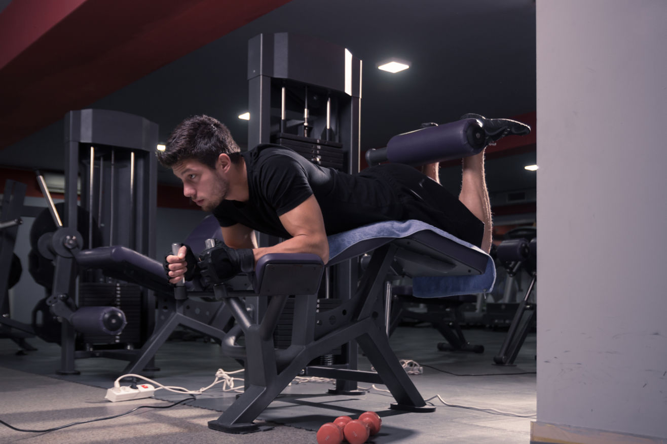 leg curl hangi kasları çalıştırır?
