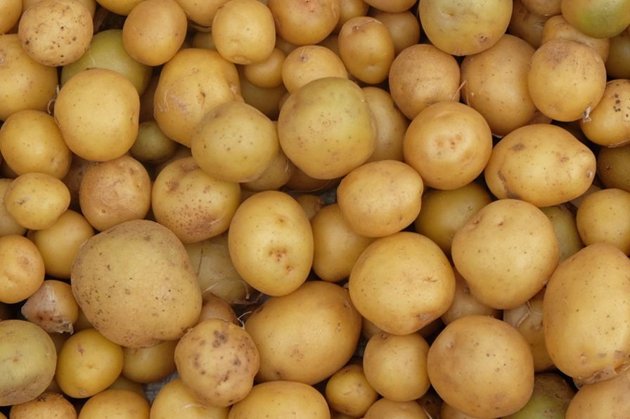 Patates Kaç Kaloridir?
