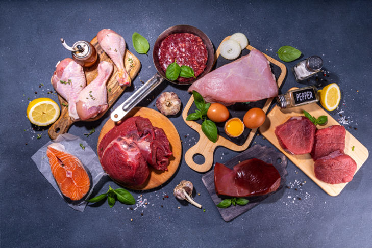 carnivore diyeti nedir?