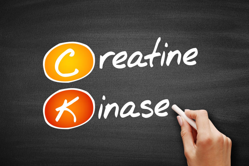 Kreatin Kinaz (CK) Nedir?