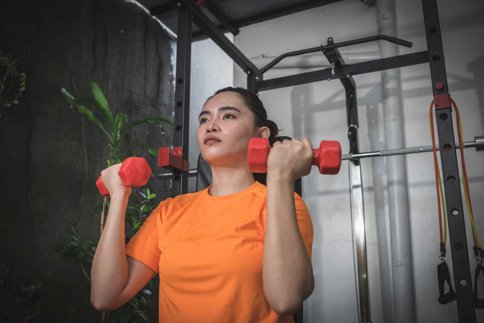 Arnold Press Hangi Kasları Çalıştırır?