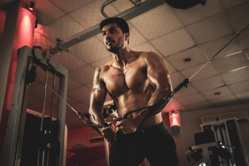 Standing Reverse Cable Cross
