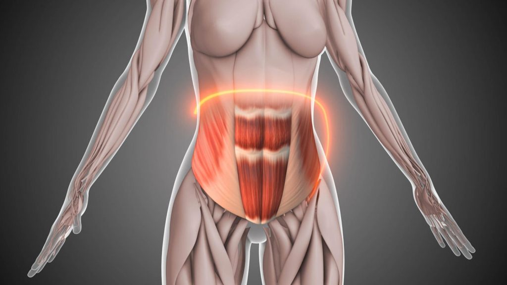 Core Bölgesi Nedir? Core Bölgesi Neresidir?