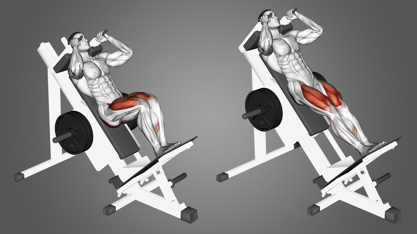 Hack Squat Hangi Kasları Çalıştırır?