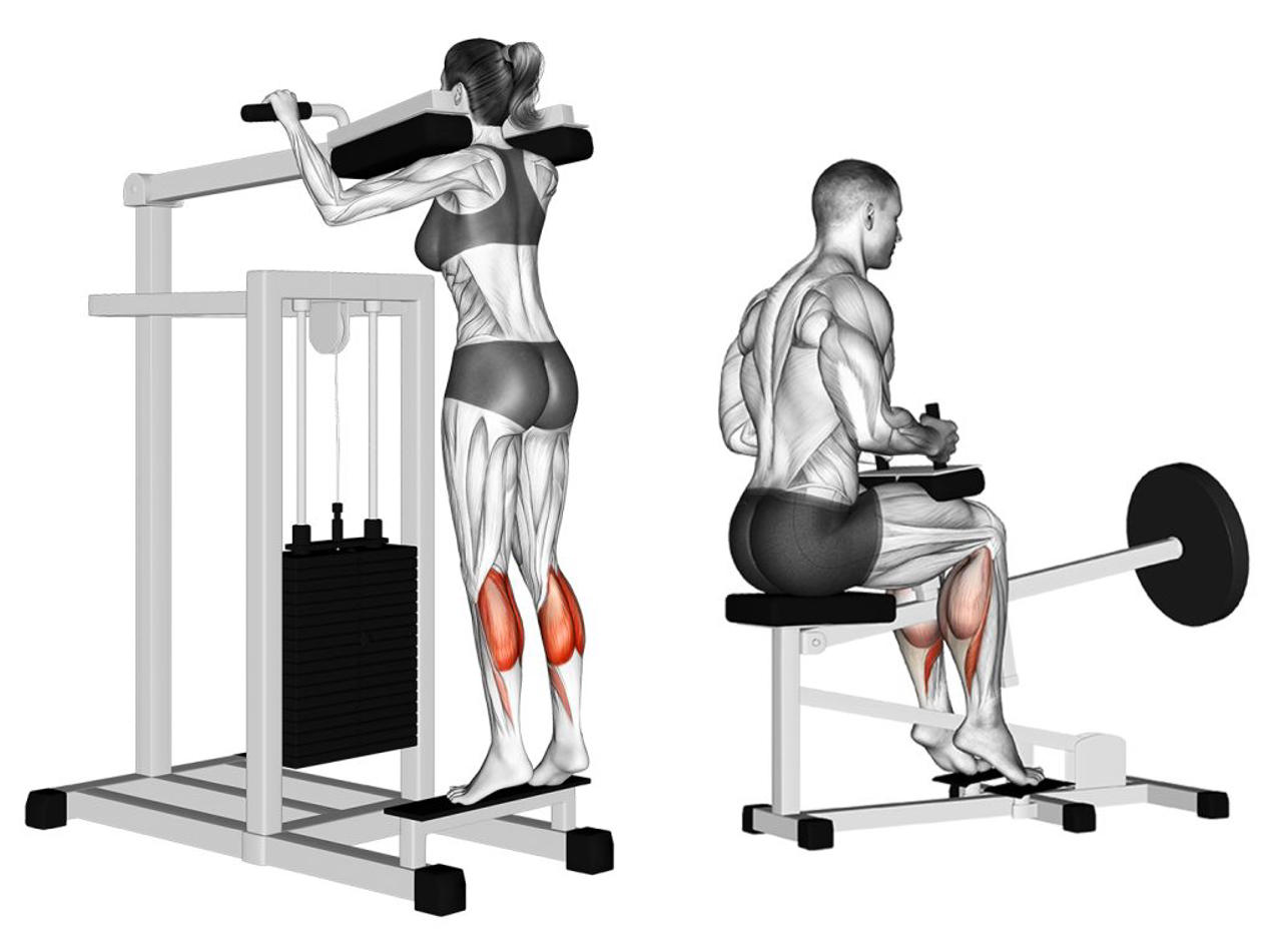 Standing Calf Raise’ın Farklı Varyasyonları Nelerdir?