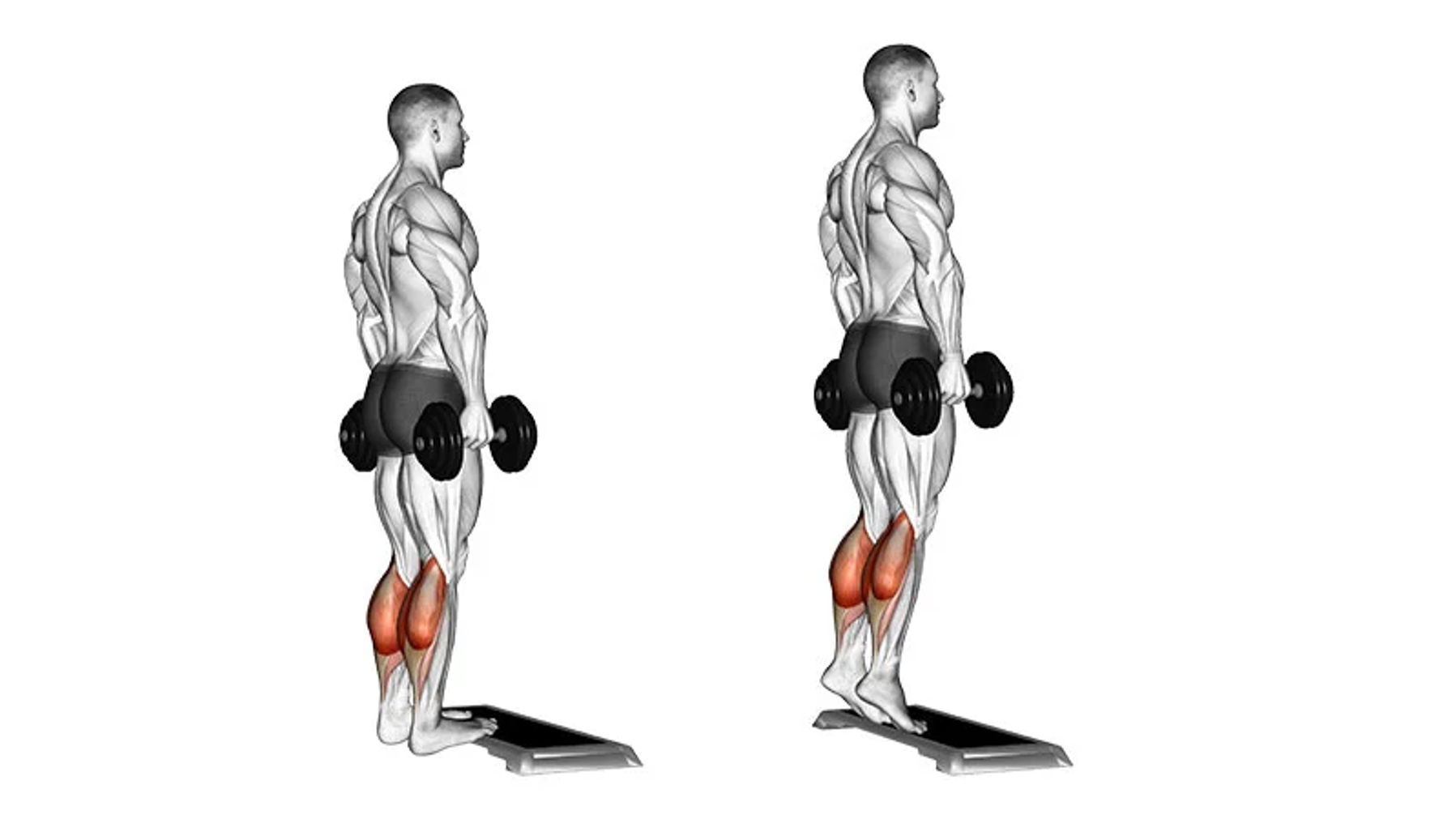 Standing Calf Raise’da Hangi Ağırlık ile Başlamak Gerekir?