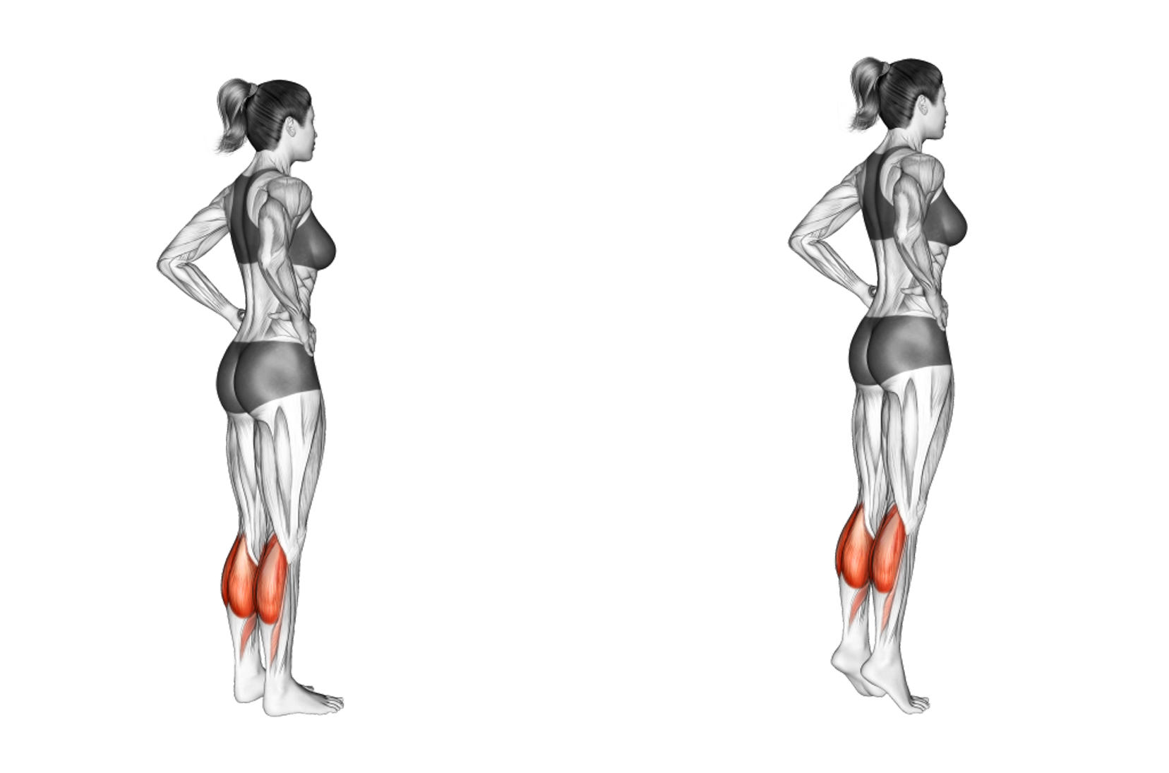 Standing Calf Raise Nasıl Yapılır?