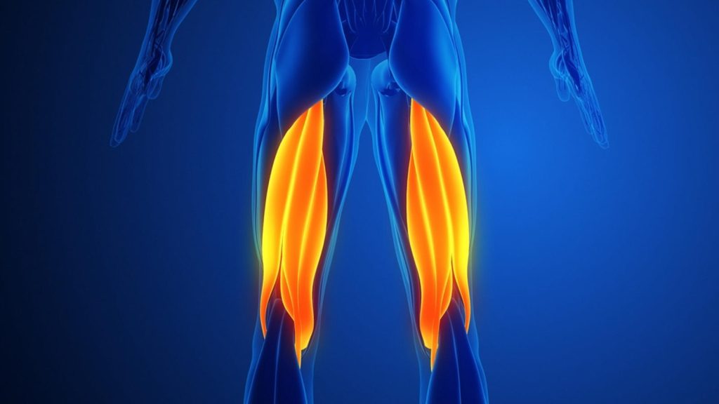 Hamstring Kası Nerede?